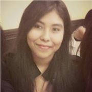 Profesora de inglés (Traductora)
